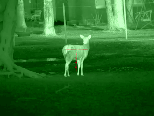 image16.gif image16.gif