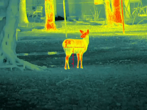 image38.gif image38.gif