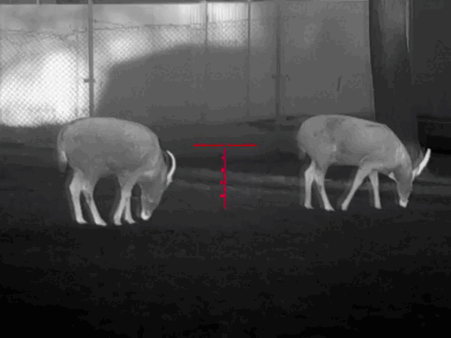 image35.gif image35.gif