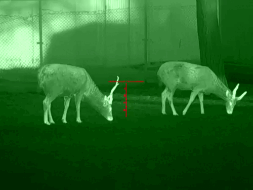 image24.gif image24.gif