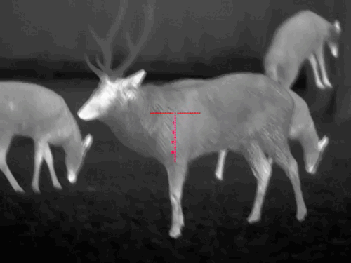 image42.gif image42.gif