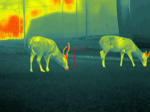 image28.gif image28.gif