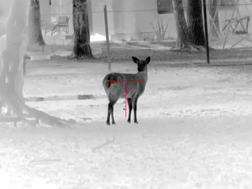 image5.gif image5.gif
