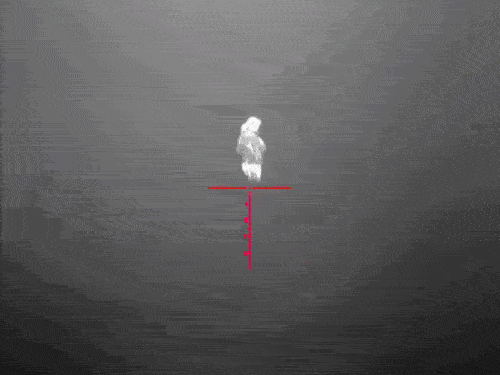 image12.gif image12.gif