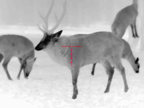 image41.gif image41.gif