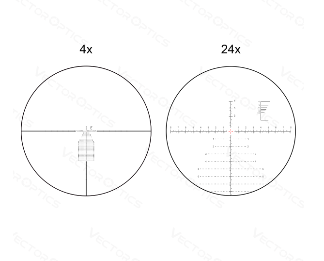 SCFF-39_12.png