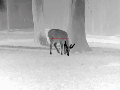 image29.gif image29.gif