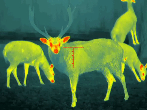 image8.gif image8.gif
