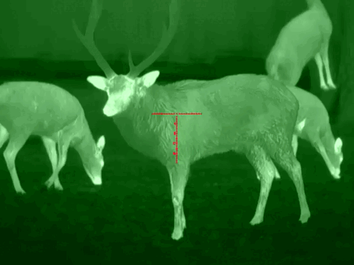 image7.gif image7.gif
