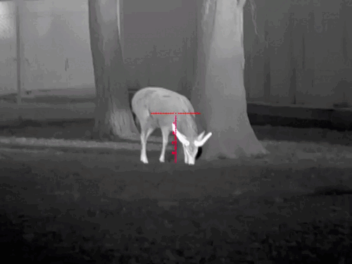 image32.gif image32.gif