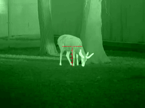 image20.gif image20.gif