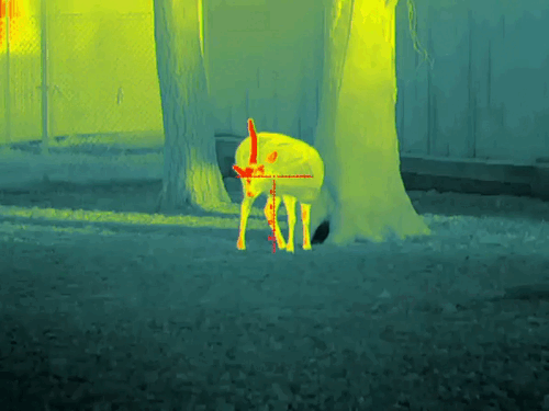 image43.gif image43.gif